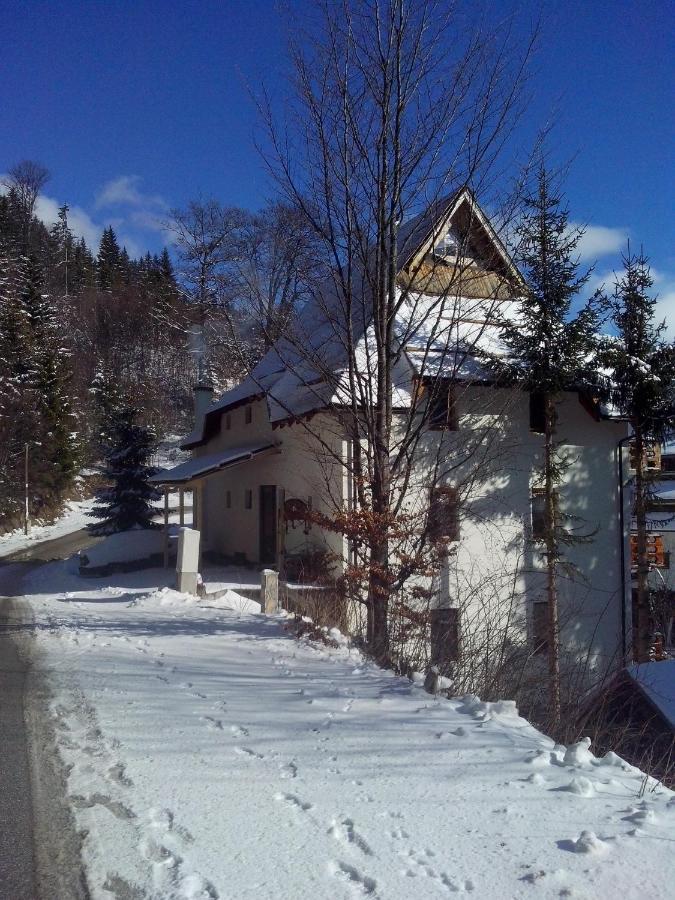 Apartments Dviletov Kutak Kopaonik Exterior photo